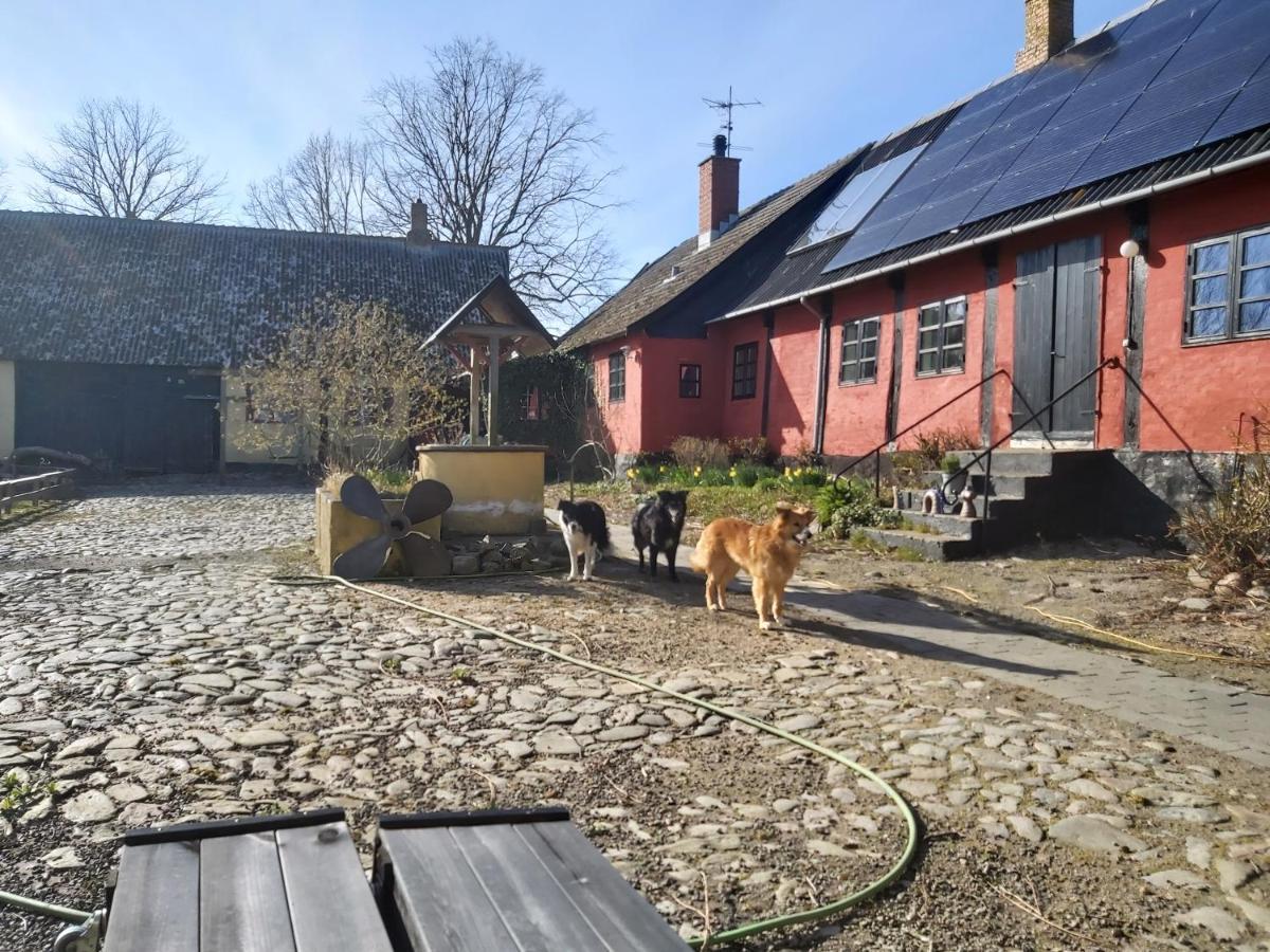 Bolshavnvej5 Bed & Breakfast Eksteriør billede