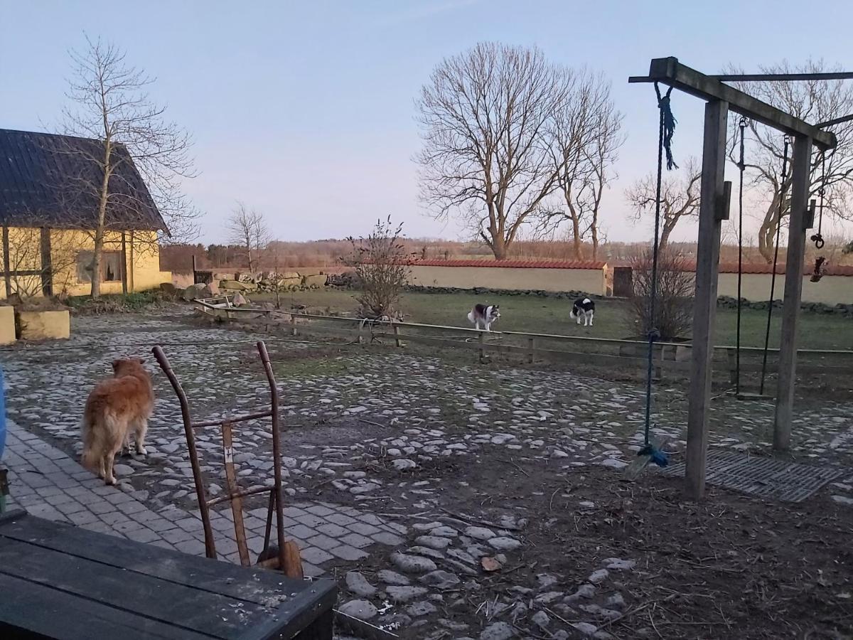 Bolshavnvej5 Bed & Breakfast Eksteriør billede